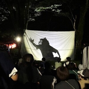 影絵のパフォーマンスの様子
