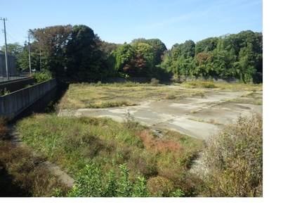 根岸からさわ調整池