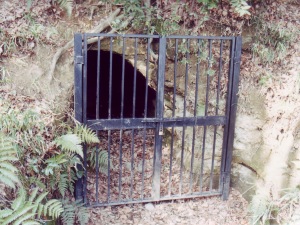 下三輪横穴古墳群の画像