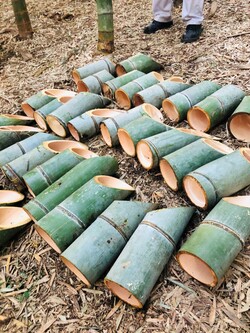 小野路地域の竹林内で伐採した竹