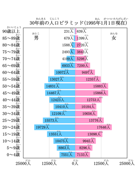 30年前の人口ピラミッド（1995年1月1日現在）です。 男について、20～24歳の人数が19729人、90歳以上の人数が231人です。 女について、20～24歳の人数が17646人、90歳以上の人数が639人です。