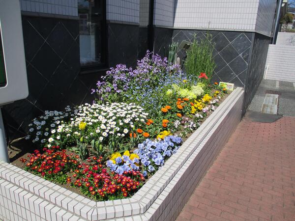 小山市民センターの花壇