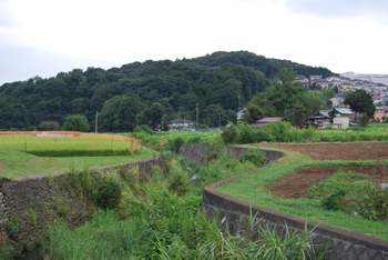 下小山田町の鶴見川桜橋下流付近の写真