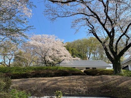 自由民権資料館と桜