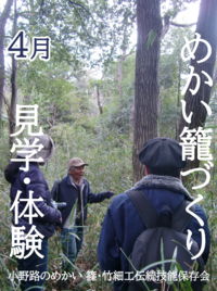 見学と体験の様子