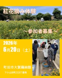 紅花花摘み体験案内画像