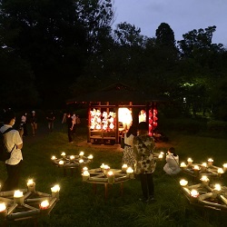 ライトアップの様子