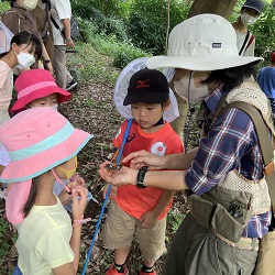 芹ヶ谷公園写真