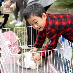 ふれあい