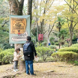 シールラリーの写真