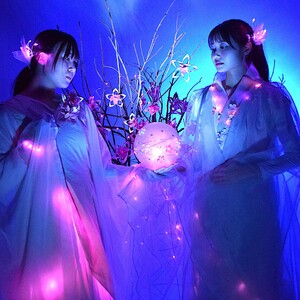 ライトアップの様子