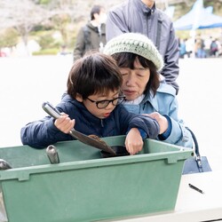 タネから木を育てる企画の様子