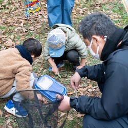 生きもの観察の様子