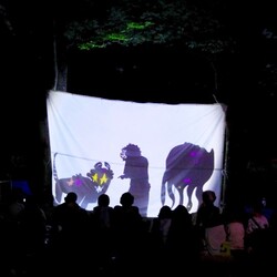 影絵のパフォーマンスの様子