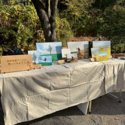 木材写真アート企画の様子