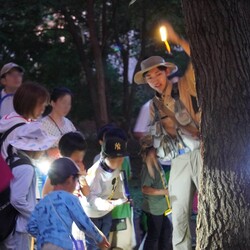 生きもの観察
