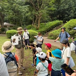 生きもの観察