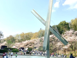 さくらまつりの写真