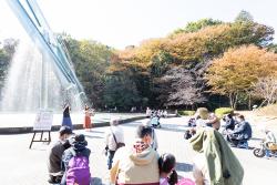 地産地消画像