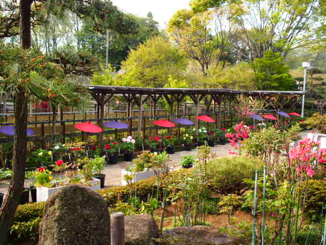 町田ぼたん園