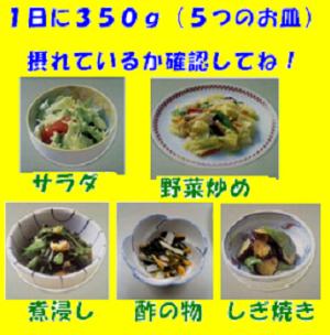 野菜料理1皿（70g）を1つ（皿）と数え、1日に野菜料理を5つ（皿）～6つ（皿）食べましょう！