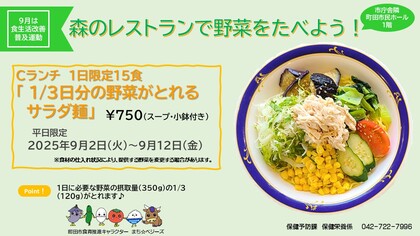 1/3日分の野菜がとれるサラダ麺のポップ