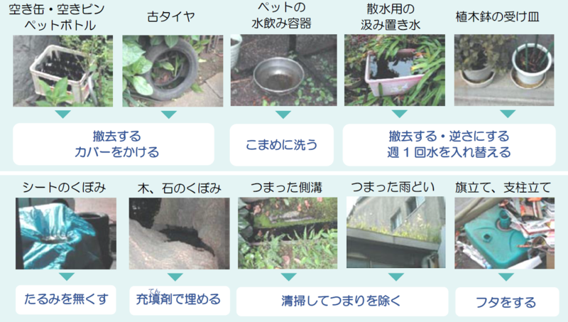 幼虫（ボウフラ）の発生源になりやすいところの図