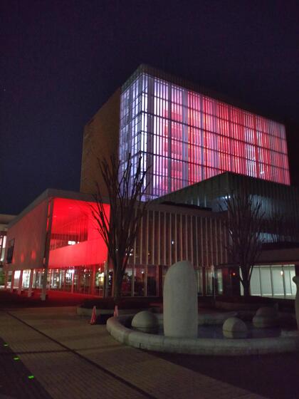 市庁舎を赤色にライトアップした写真