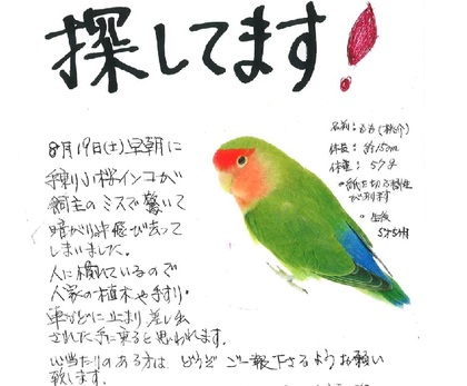 鳥の写真