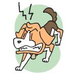 噛む犬のイメージ図