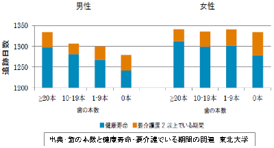 歯の本数と健康寿命のグラフ