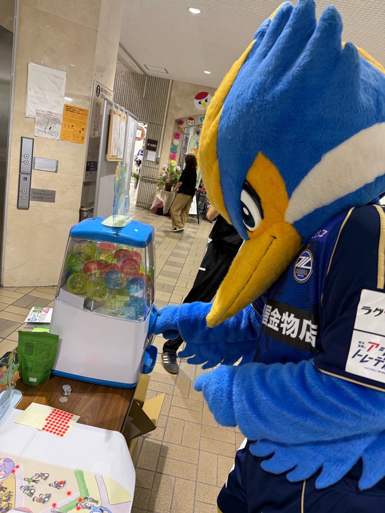 ガチャガチャを回すゼルビーです。