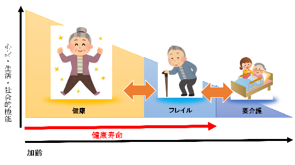 フレイルの段階を経て、要介護状態になることを表した画像