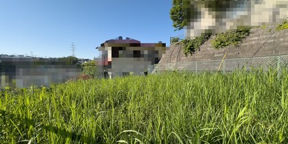 現地写真（南から北を眺めた写真）