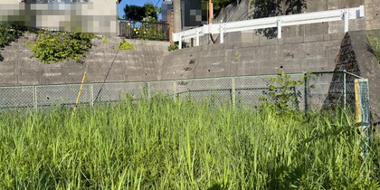 現地写真（北から南を眺めた写真）