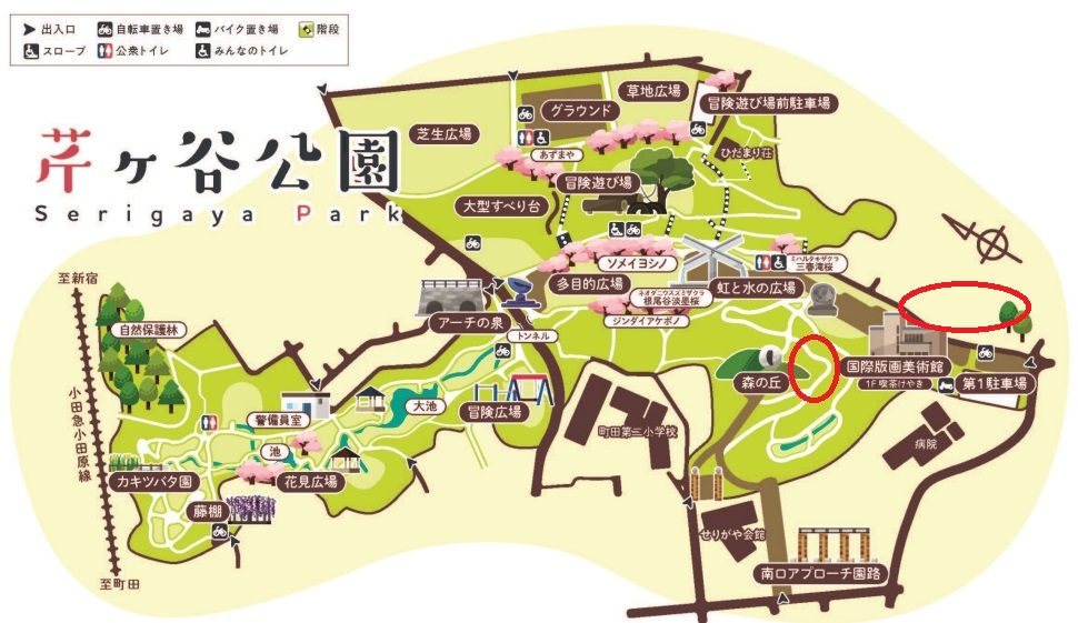芹ヶ谷公園の地図