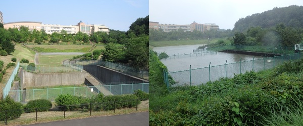 晴天時と雨天時