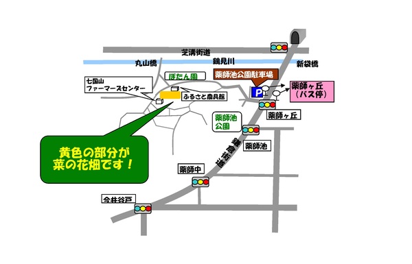 菜の花地図