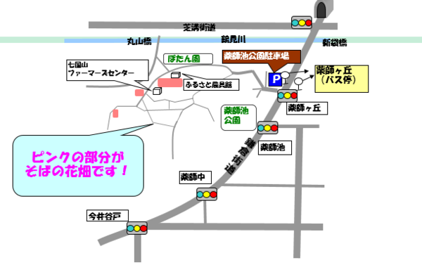 そばの花畑地図