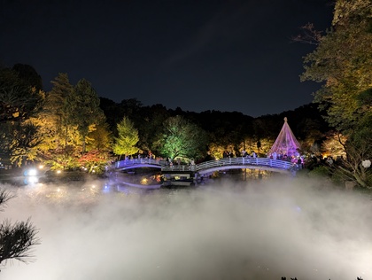 紅葉ライトアップと雲海