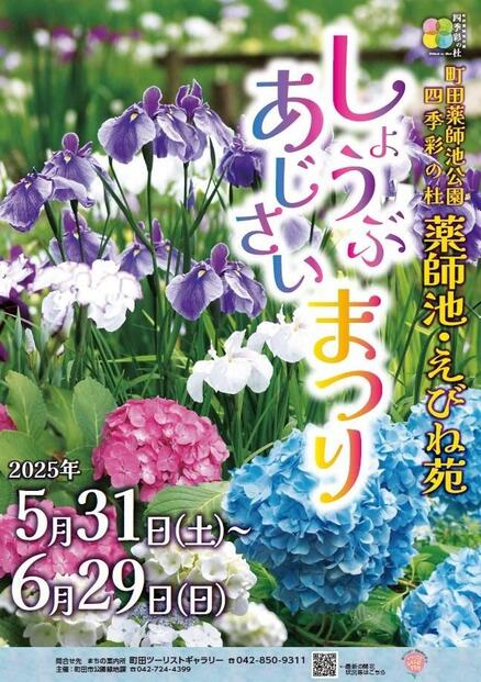 しょうぶあじさいまつり