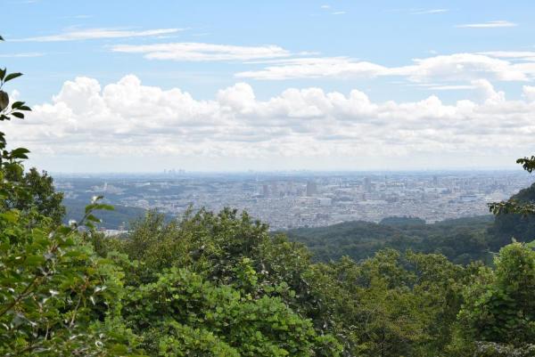 山頂からの風景の画像