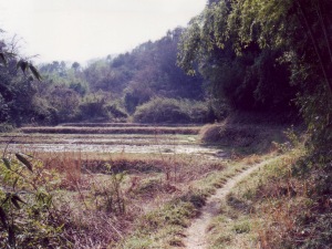 三輪の谷戸風景の画像