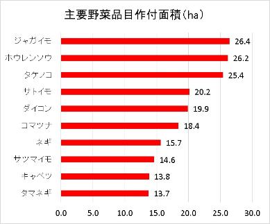 主要野菜品目作付面積のグラフ　ジャガイモ26．4ヘクタール　ホウレンソウ26．2ヘクタール　タケノコ25．4ヘクタール　サトイモ20．2ヘクタール　ダイコン19．9ヘクタール　コマツナ　18．4ヘクタール　ネギ15．7ヘクタール　サツマイモ14．6ヘクタール　キャベツ13．8ヘクタール　タマネギ13．7ヘクタール