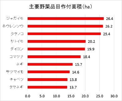 主要野菜品目作付面積