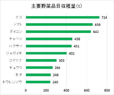 主要野菜品目収穫量のグラフ　ナス724トン　トマト659トン　ダイコン642トン　キャベツ458トン　ハクサイ451トン　ジャガイモ402トン　コマツナ303トン　キュウリ264トン　ネギ246トン　ホウレンソウ240トン