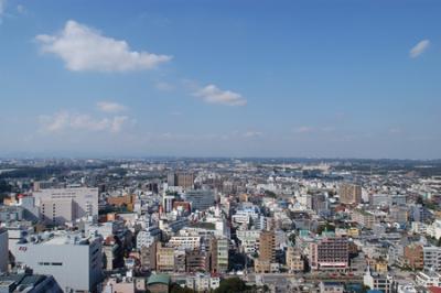 市 ホームページ 町田 町田市における新型コロナウイルス感染症の状況（5月29日更新）/町田市ホームページ