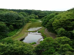 忠生公園（ただおこうえん）