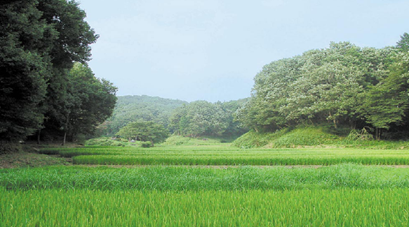 谷戸山（やとやま）の風景画像