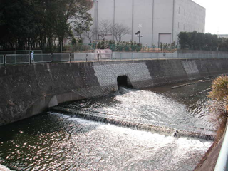 きれいにした水を川に流している画像